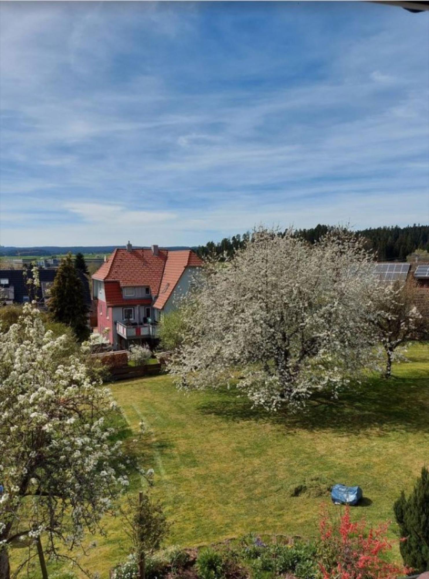 شقة Schwarzwaldliebe Dornstetten المظهر الخارجي الصورة